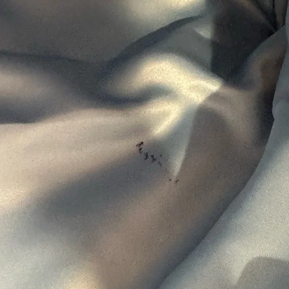 Coach 16988 Poppy Denim Blue and Silver Tote Shoulder Bag - Picture 13 of 16